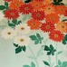 KIMONO FURISODE 007-51 (M)