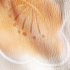 JUBAN FEMME 007-63 (doublé) (L)