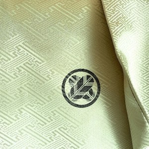 KIMONO HOMME FORMEL VERT EN POLYESTER 008-103 (3L)