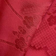 JUBAN FEMME 008-300 (L)