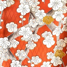 KIMONO FEMME VINTAGE 008-386 (S)