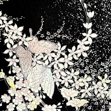 FURISODE 009-482 (M)