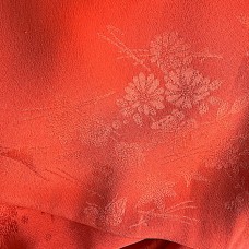 JUBAN FEMME (semi-doublé) 010-264 (L)