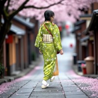 KIMONO CLASSIQUE  (22)